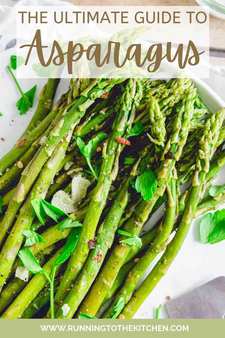 The Ultimate Guide to Asparagus + 18 Recipes