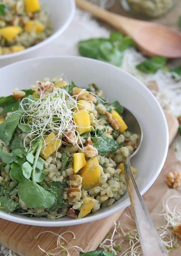 Barley Mango Salad with Avocado Dressing