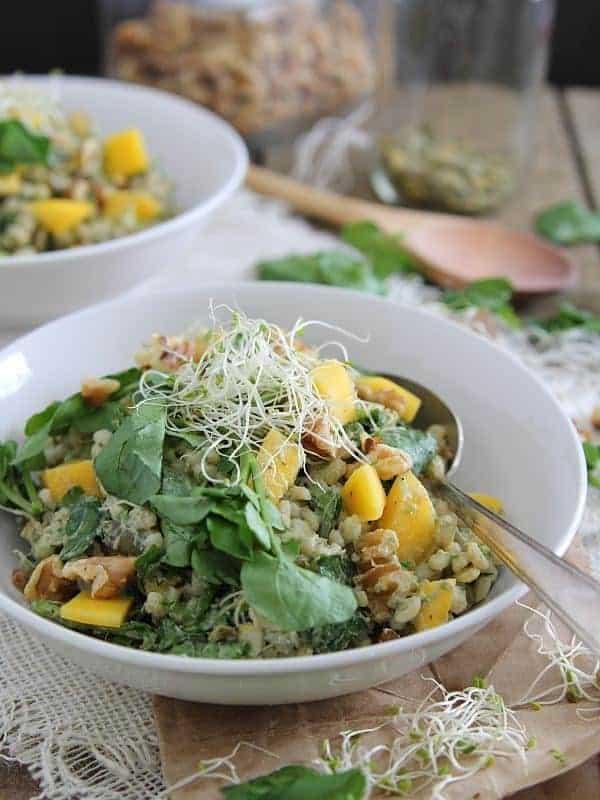 Barley Mango Salad with Avocado Yogurt Dressing