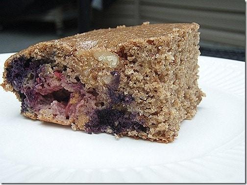 Berry Almond Walnut Protein Cake Bars