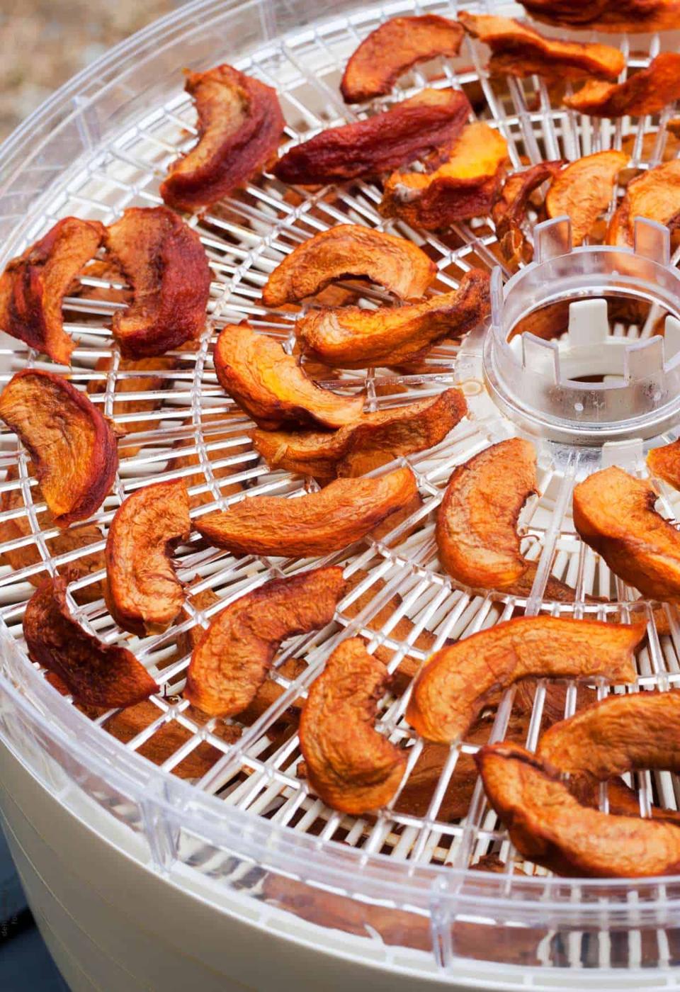 Slices of dried peaches, one of the best foods to dehydrate, are arranged on a tray inside a food dehydrator.