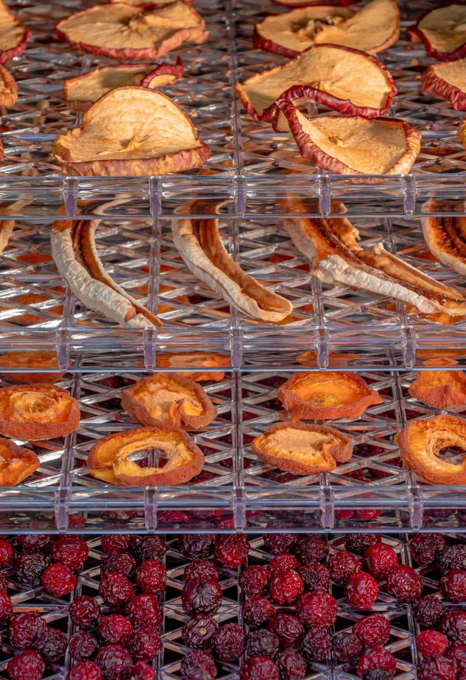 Vertical view of various dried fruits, including some of the best foods to dehydrate like apple slices, banana slices, peach slices, and cherries, displayed on a metal drying rack.
