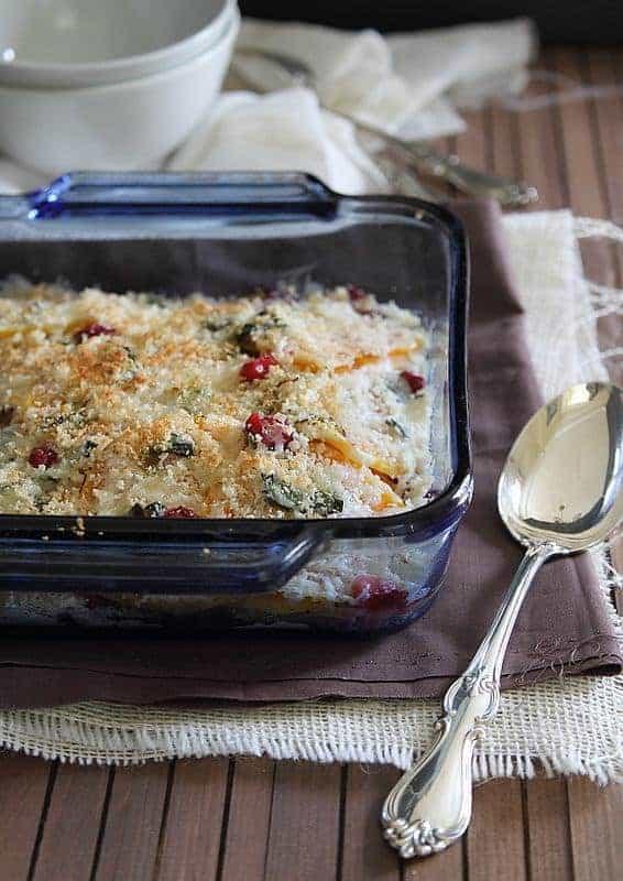 Butternut Squash and Cranberry Gratin