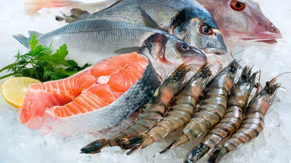 A variety of fish and seafood on ice.