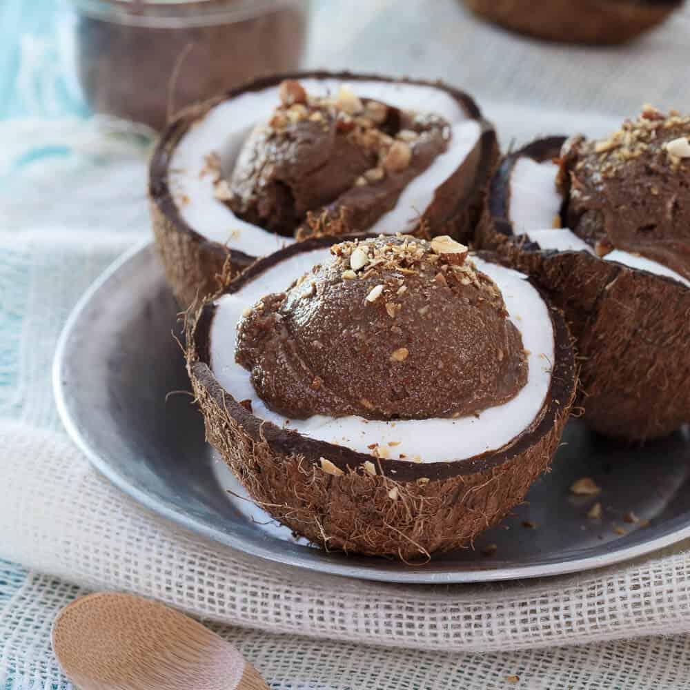 Chocolate Coconut Avocado Ice Cream