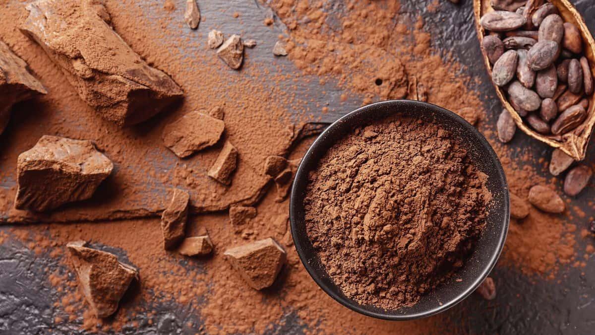 A bowl of cocoa powder surrounded by cocoa beans and chunks of chocolate on a dark surface.