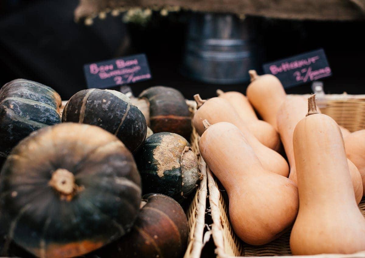 Winter Squash 101: A Deep Dive Into 13 Varieties