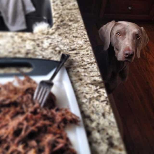 How to make your own raw dog food with easy ingredient ratios.