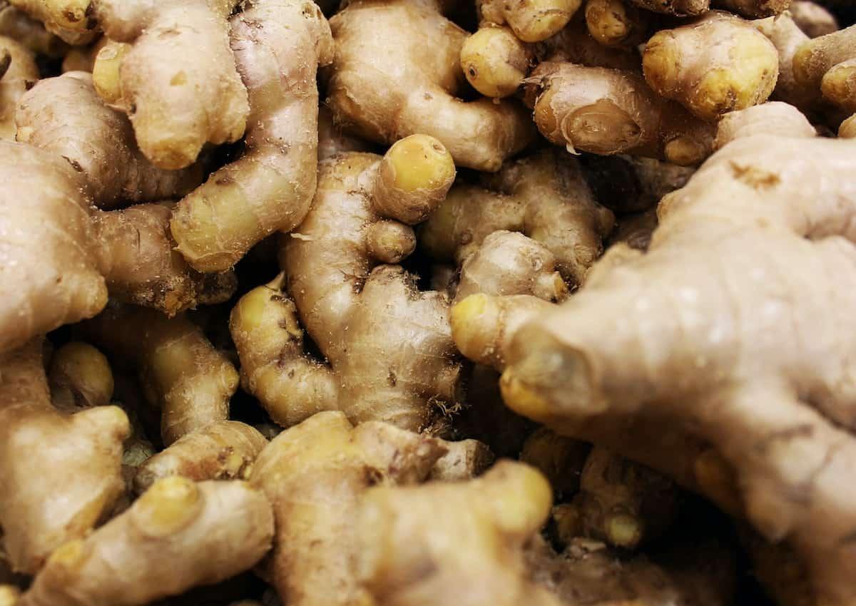 Bunch of fresh ginger.