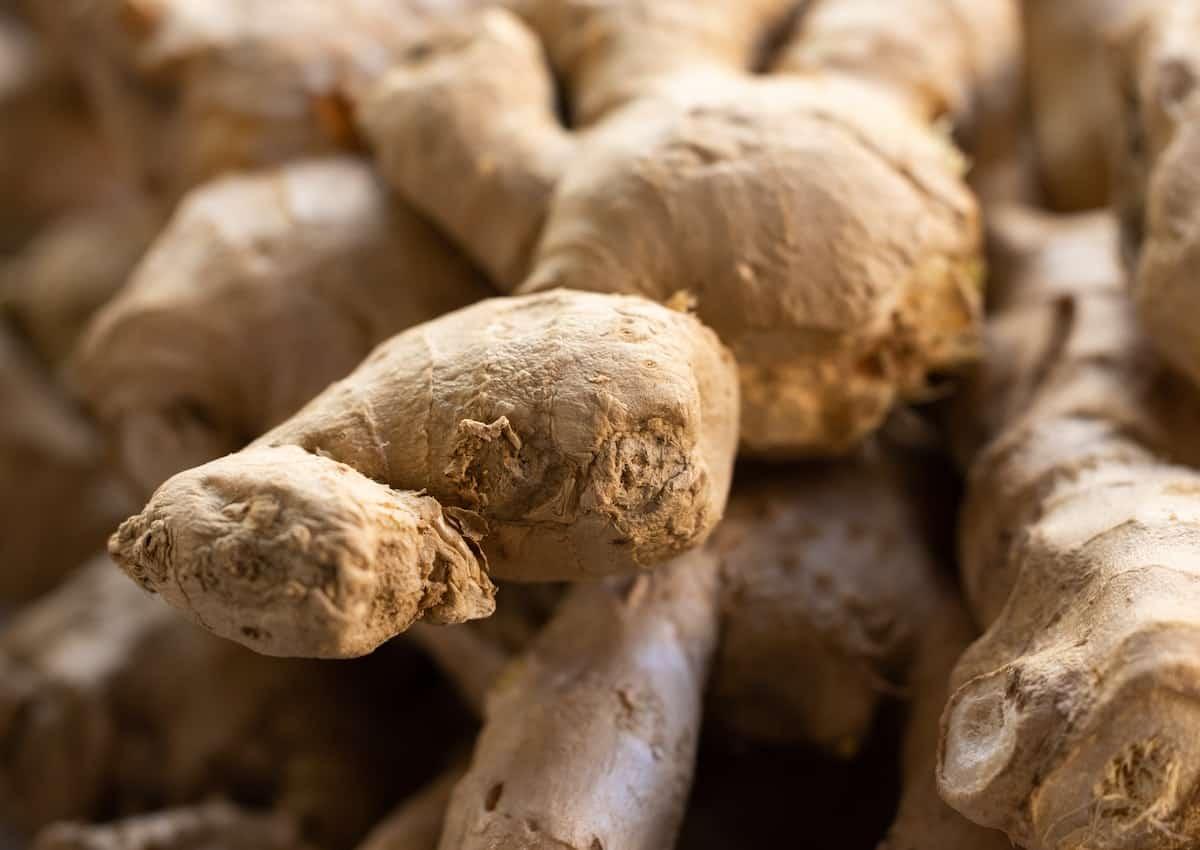 Close up of fresh ginger.
