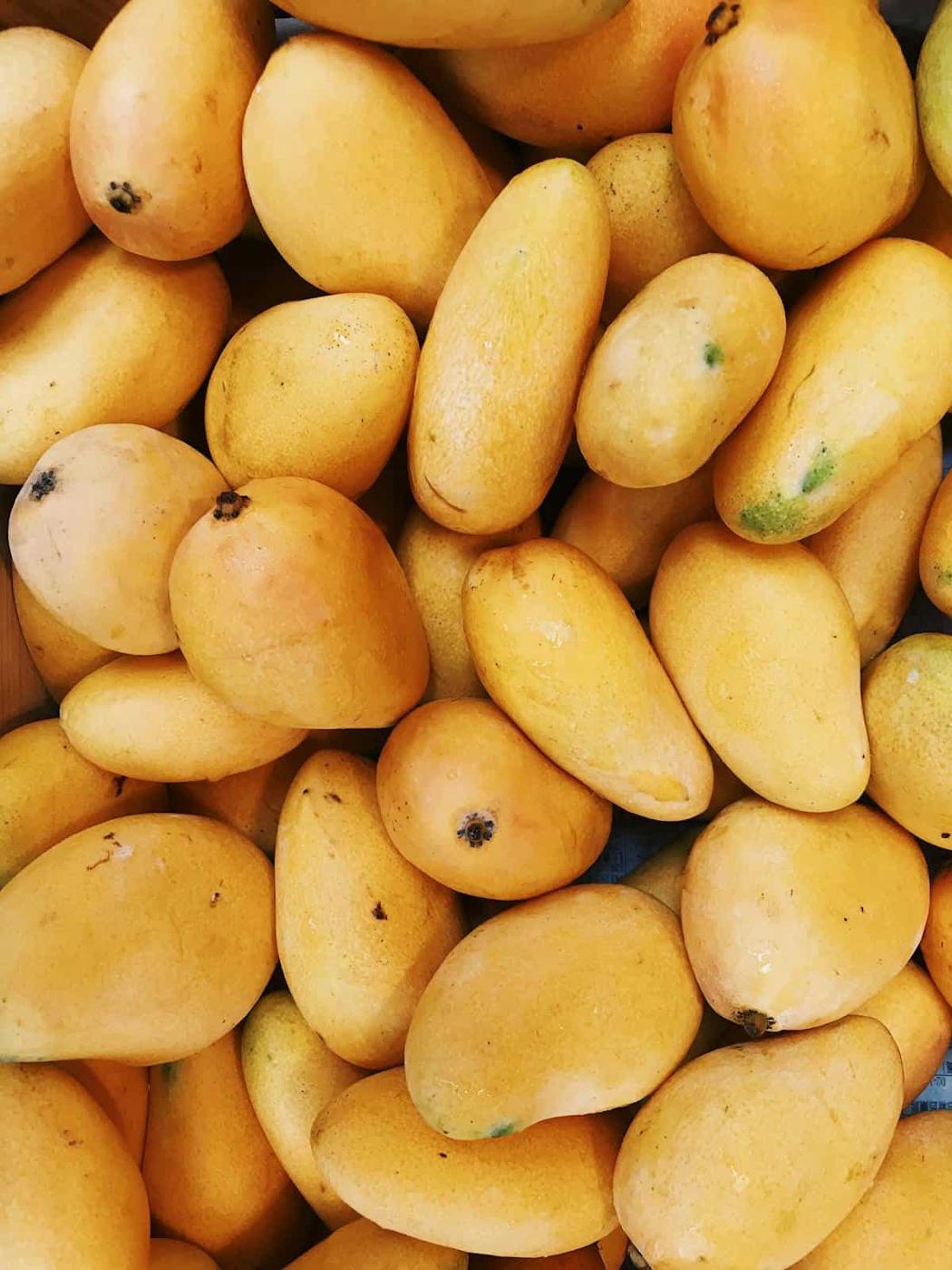 A pile of ripe yellow mangoes with smooth skins and occasional spots awaits, perfect for those learning how to cut a mango.
