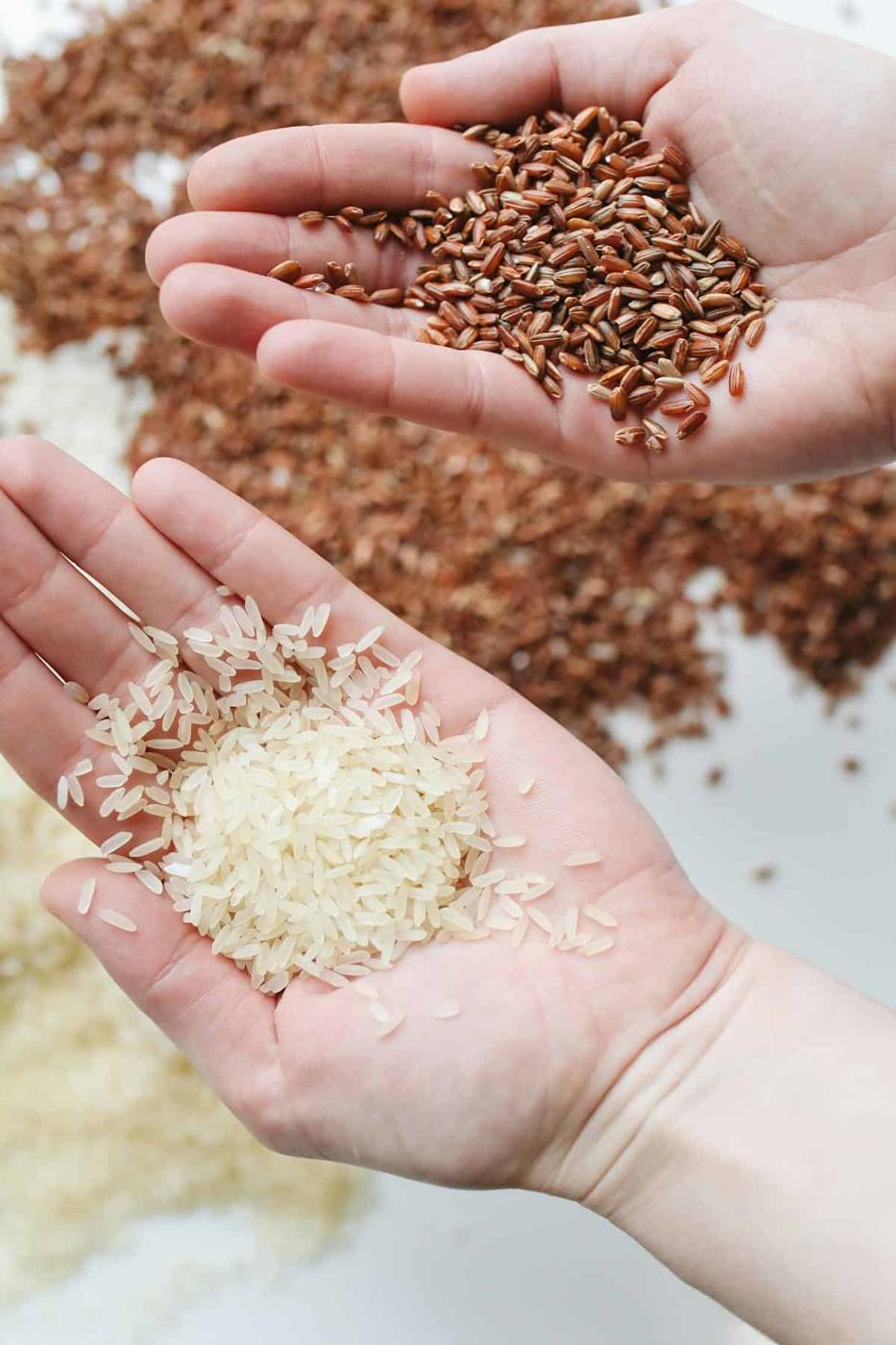 Beyond Basmati, Exploring Different Types of Rice