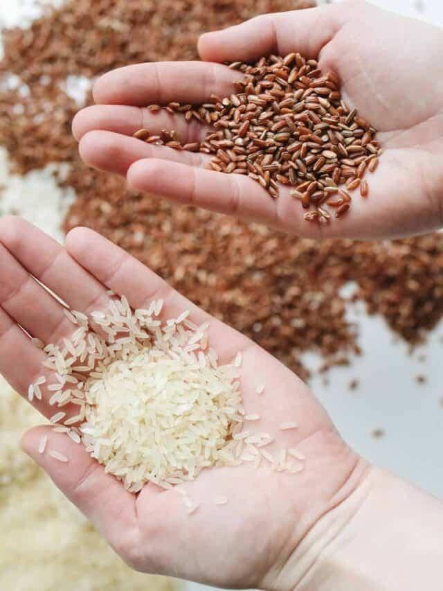 How to Freeze Rice