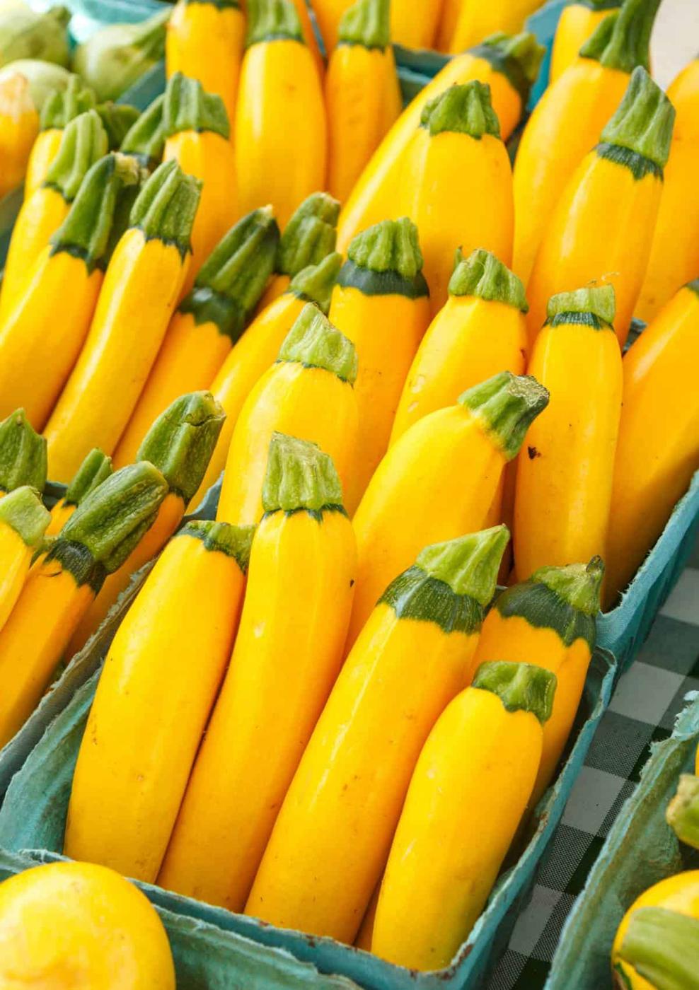 How to Freeze Summer Squash