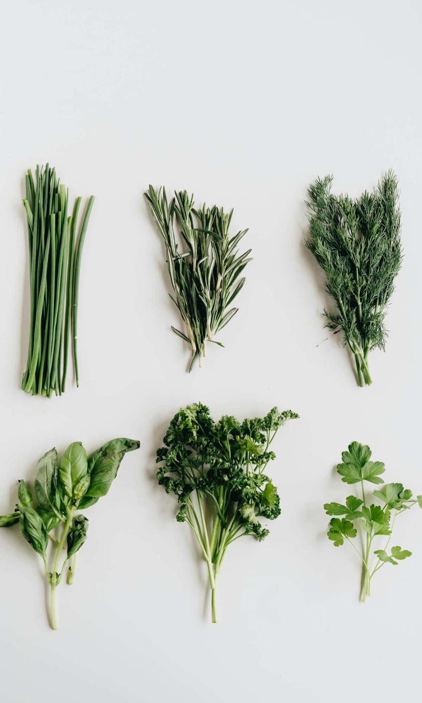 Fresh herbs on a white background.