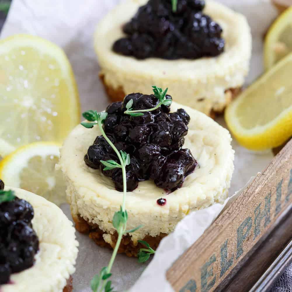 Lemon Thyme Blueberry Mini Cheesecakes