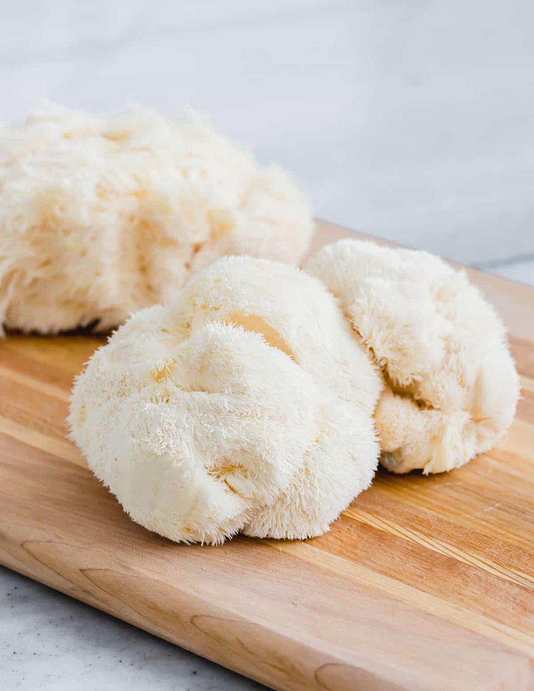 Lion’s Mane Mushroom Benefits