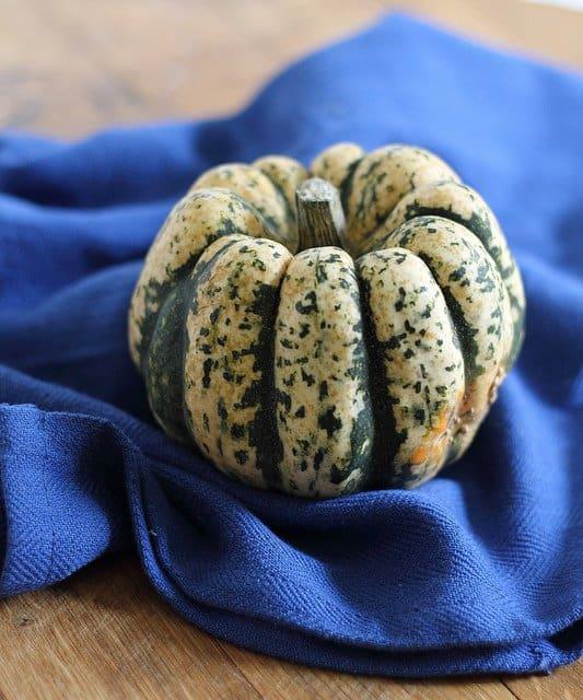 Roasted garlic squash puree