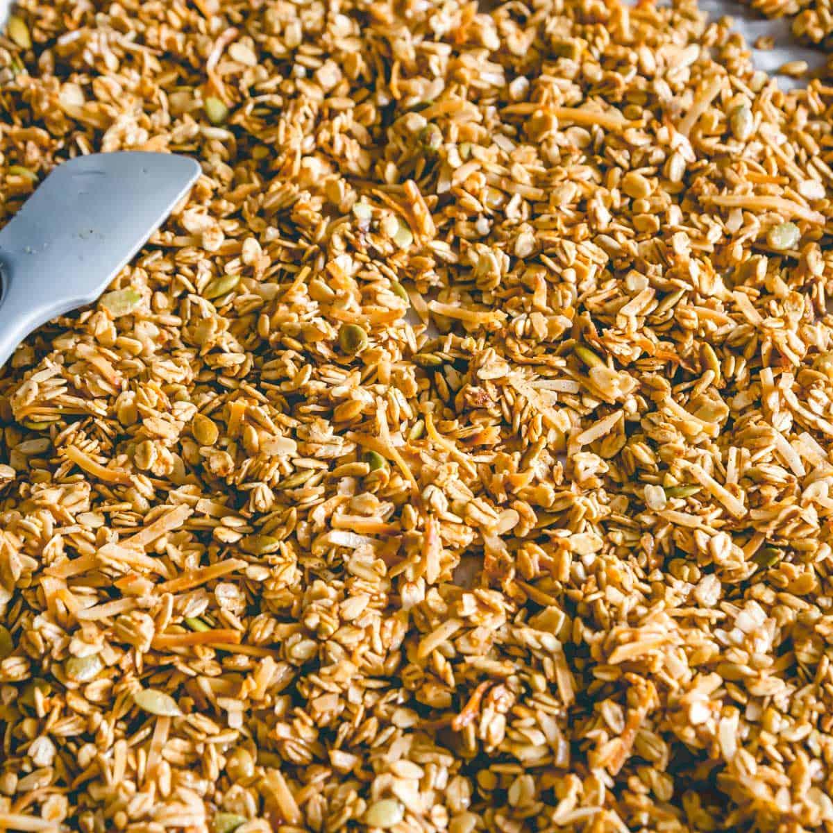 Golden brown baked granola without nuts straight out of the oven before dried fruit is added.