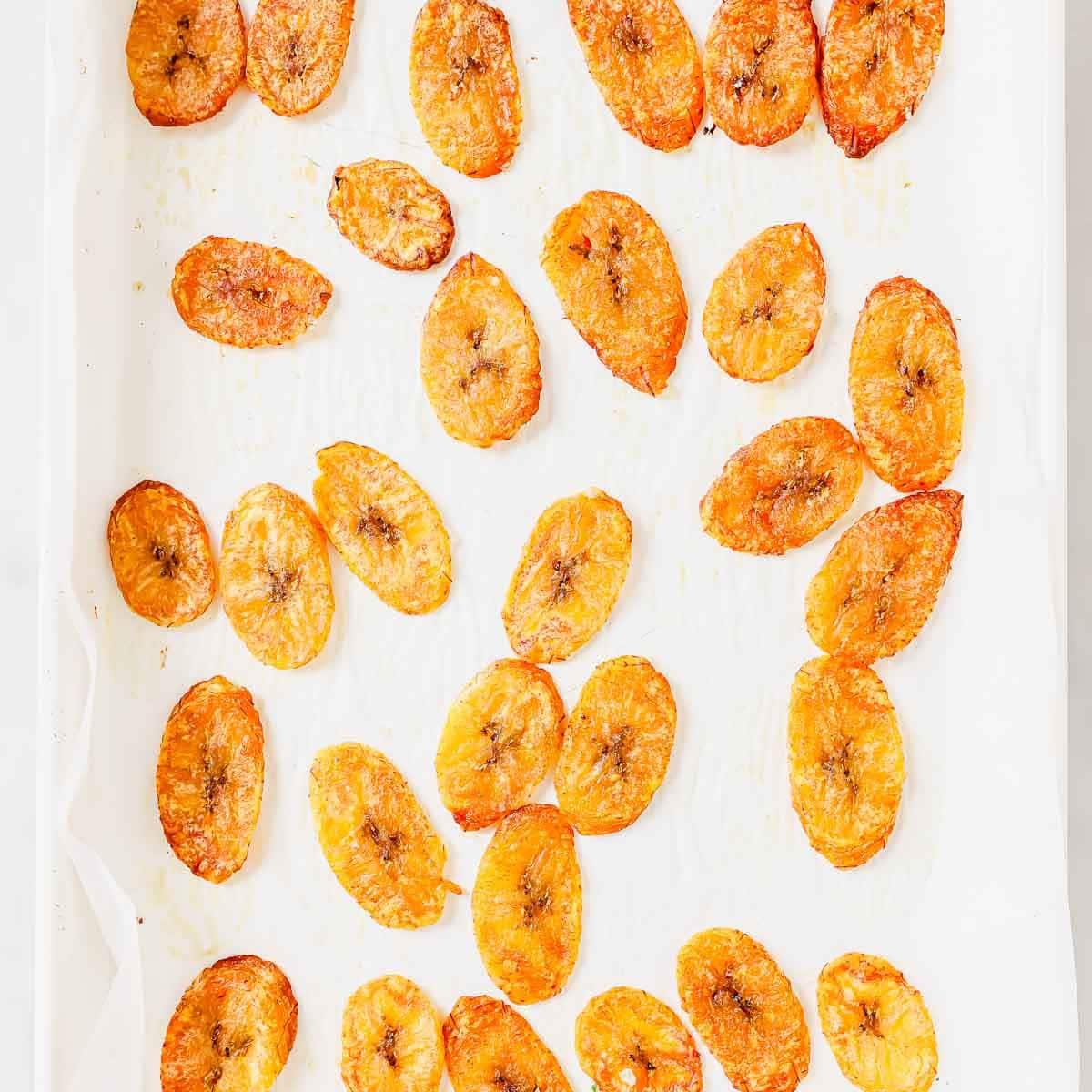 Sliced, golden-brown baked plantain chips are spread out on a white parchment-lined baking sheet.