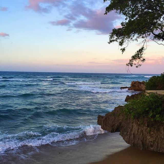 Sea Horse Ranch Beach