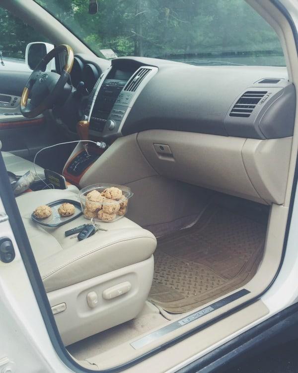 Healthy Road Trip Snack Cookies
