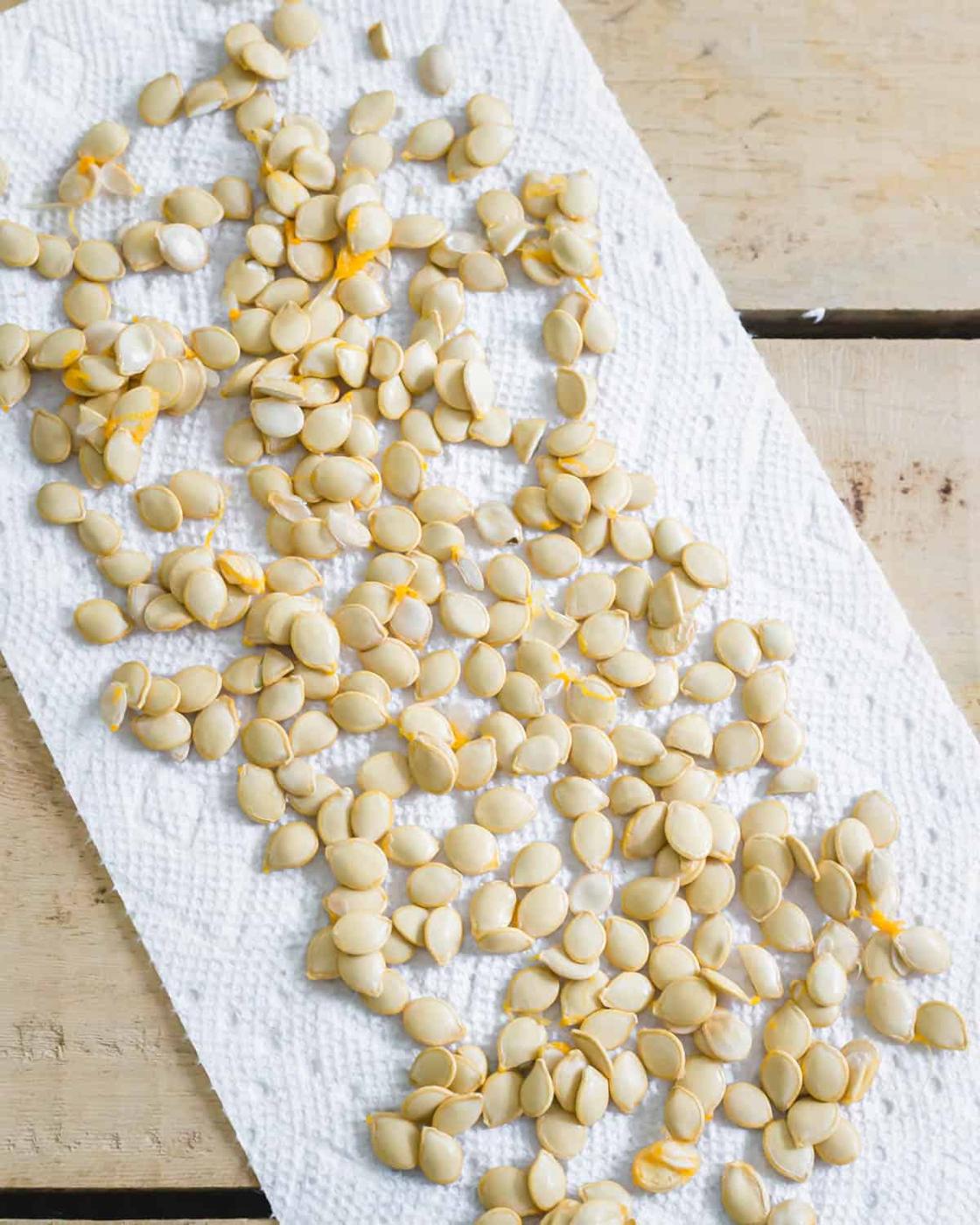Rinsed and cleaned delicata squash seeds on a paper towel to dry.