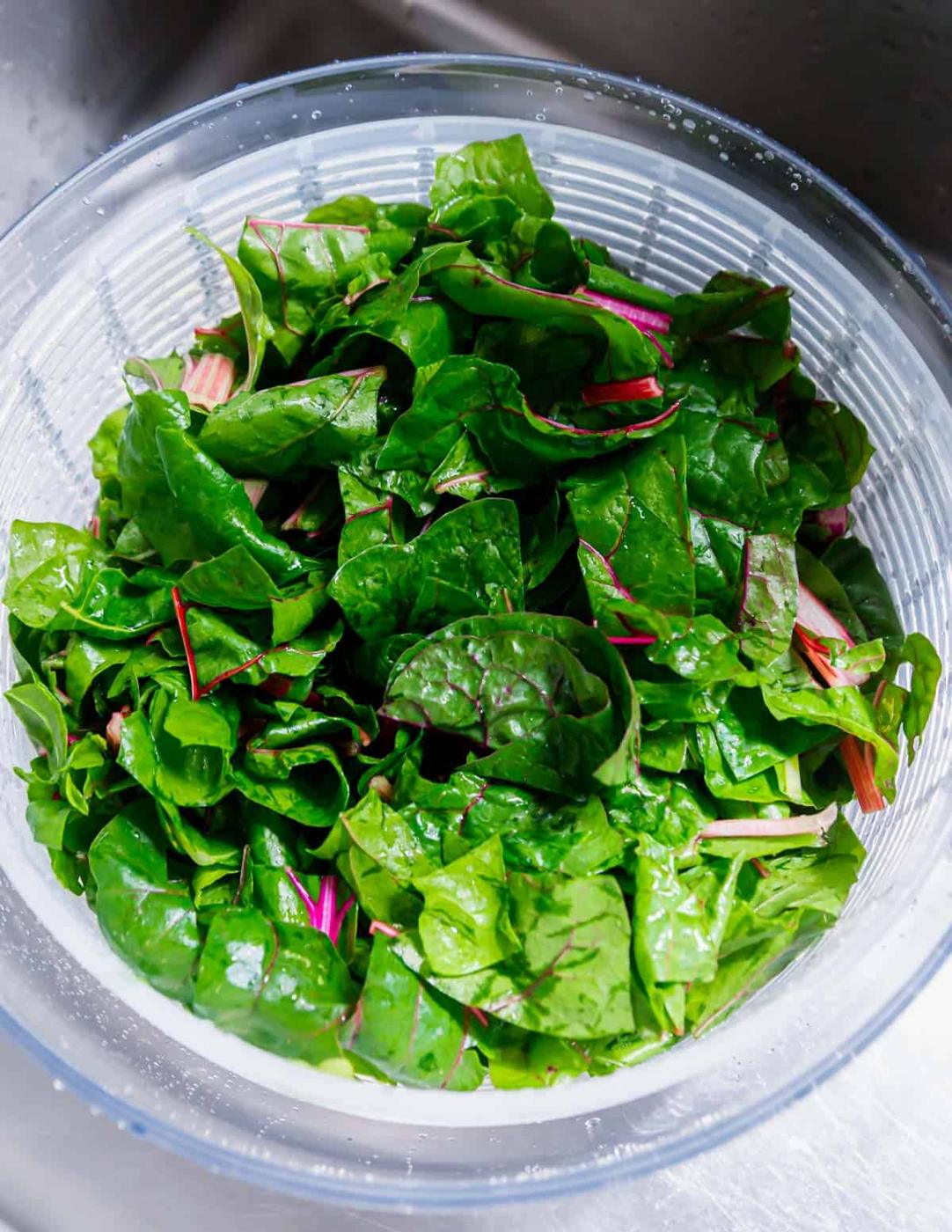 Freshly washed Swiss chard greens before sautéing with onions, garlic and tomatoes.