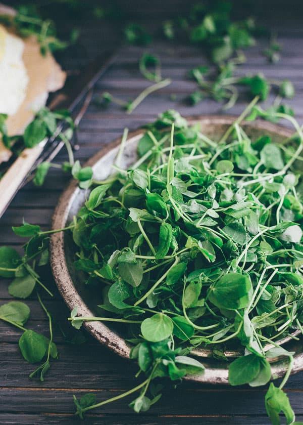 Fresh Pea Shoots
