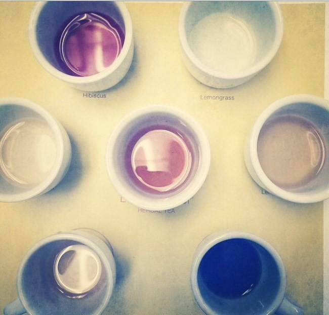 Celestial Seasonings tea tasting