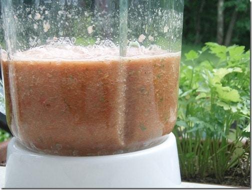gazpacho blender