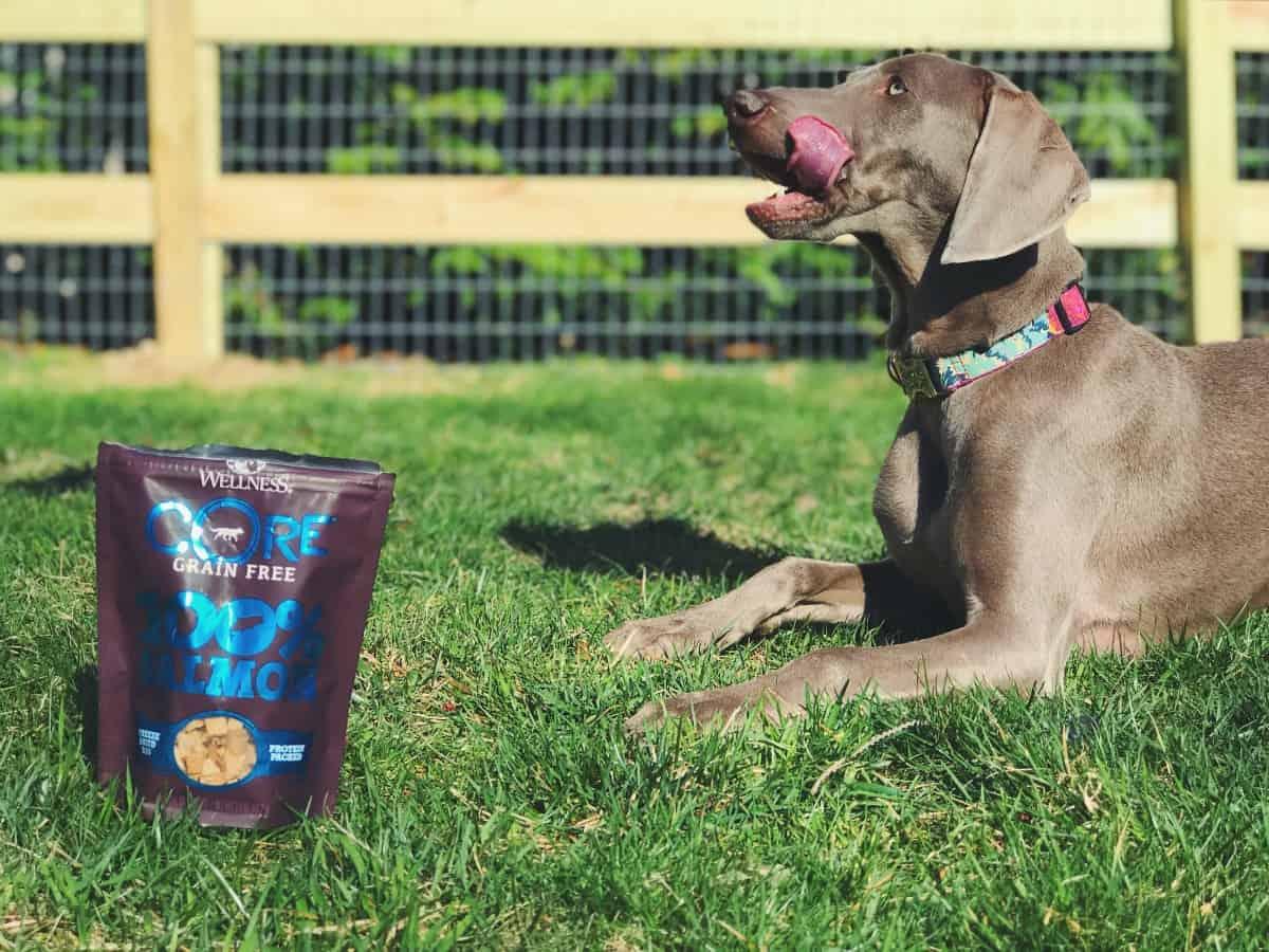 Wellness CORE RawRev 100% Freeze Dried treats - salmon
