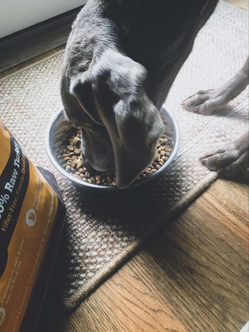 Wellness CORE RawRev puppy food