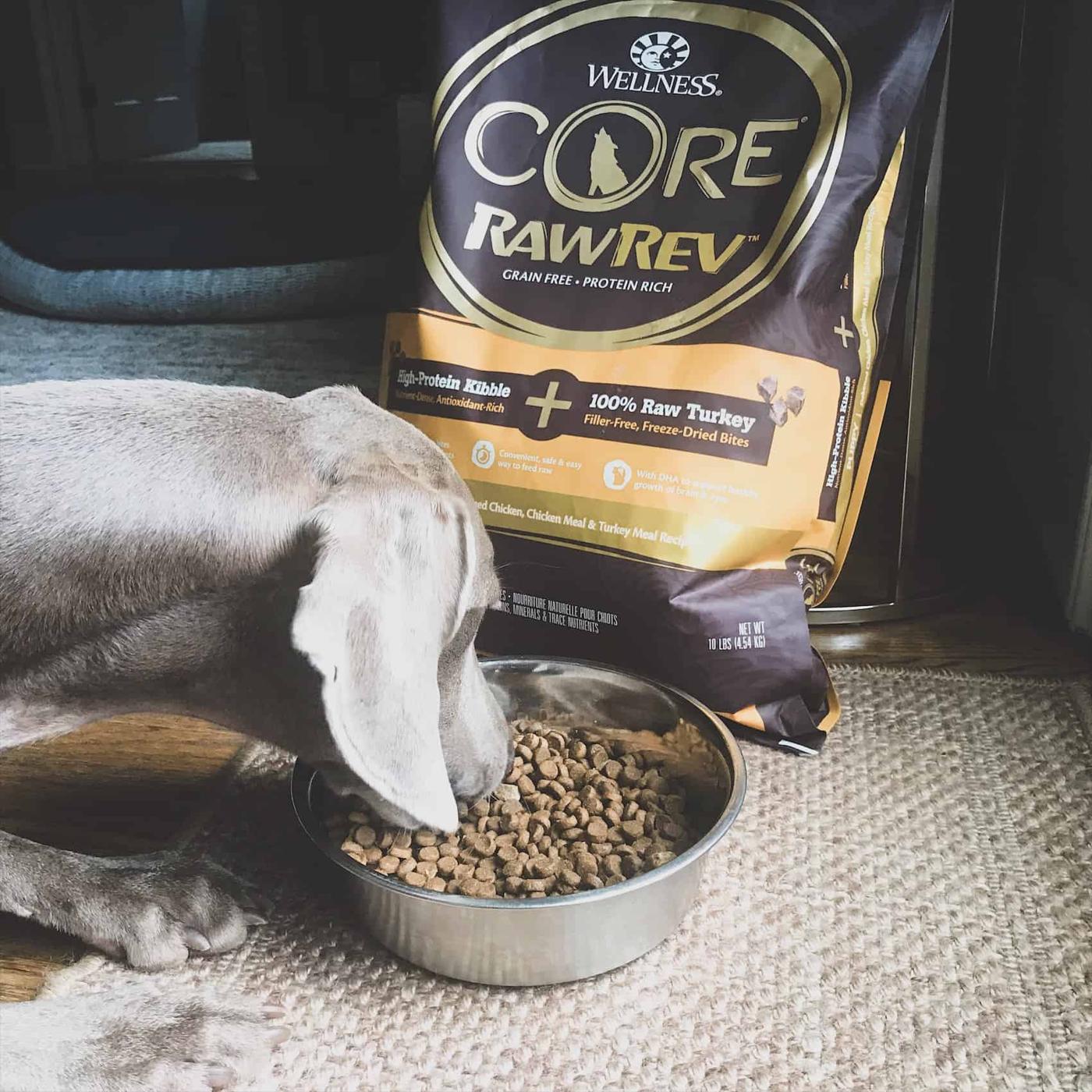 Wellness CORE RawRev puppy turkey formula