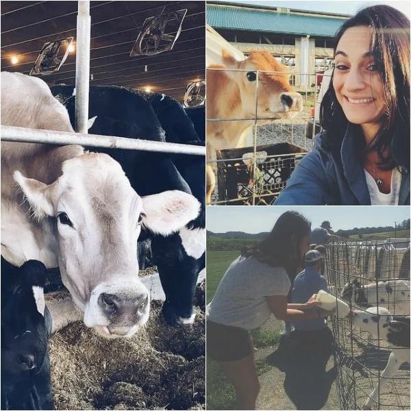 #OHDairyAdventure