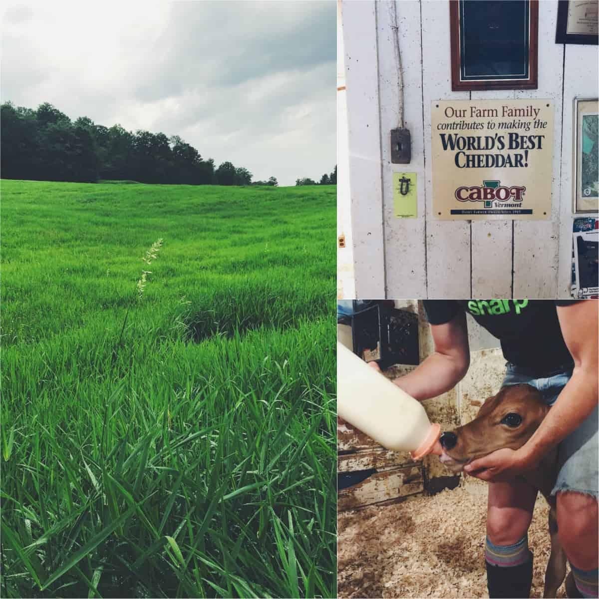 Scenes from Richardson Farm in Woodstock, VT