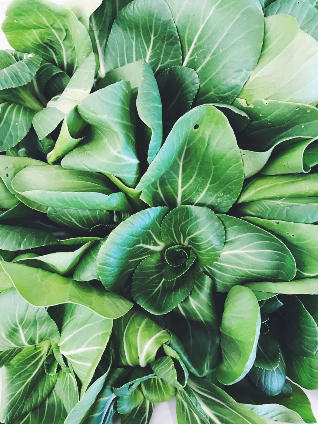 Baby Bok Choy - Woodstock Farmers Market