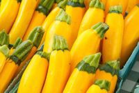Savor Summer All Year: Freezing Squash