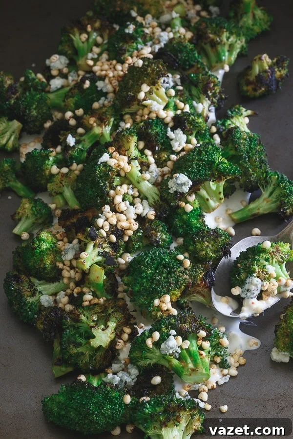Plated homemade Girl and the Goat Grilled Broccoli with creamy blue cheese sauce and golden toasted puffed millet.