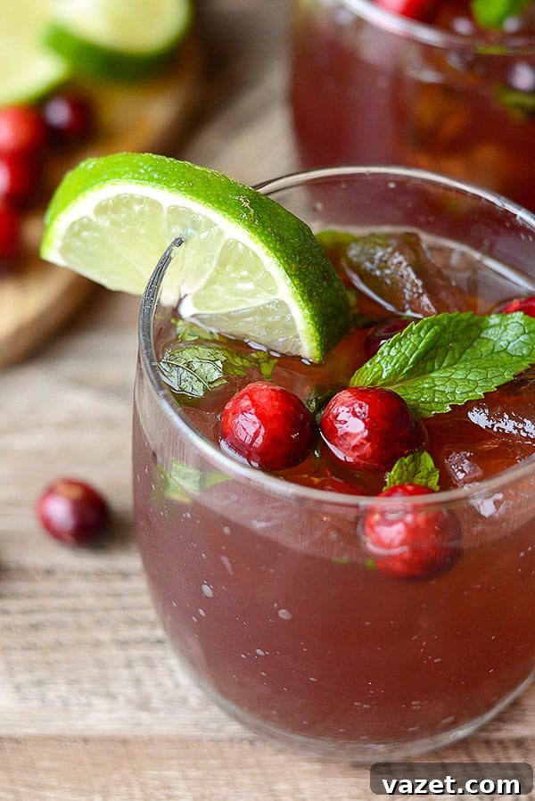 Cranberry Mint Mojito Cranberry Mint Mojito