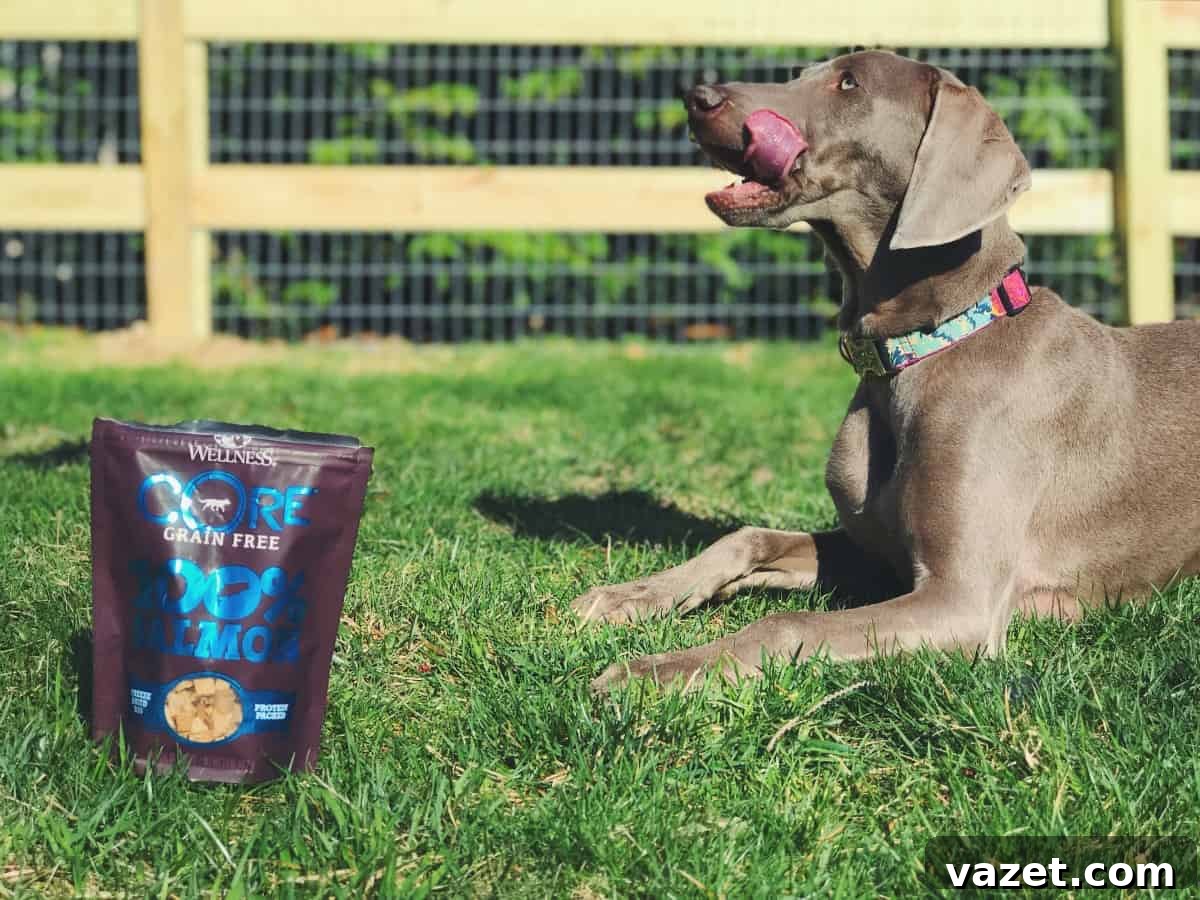Wellness CORE RawRev Freeze Dried Salmon Treats Wellness CORE RawRev 100% Freeze Dried treats - salmon flavor, ideal for dog training.