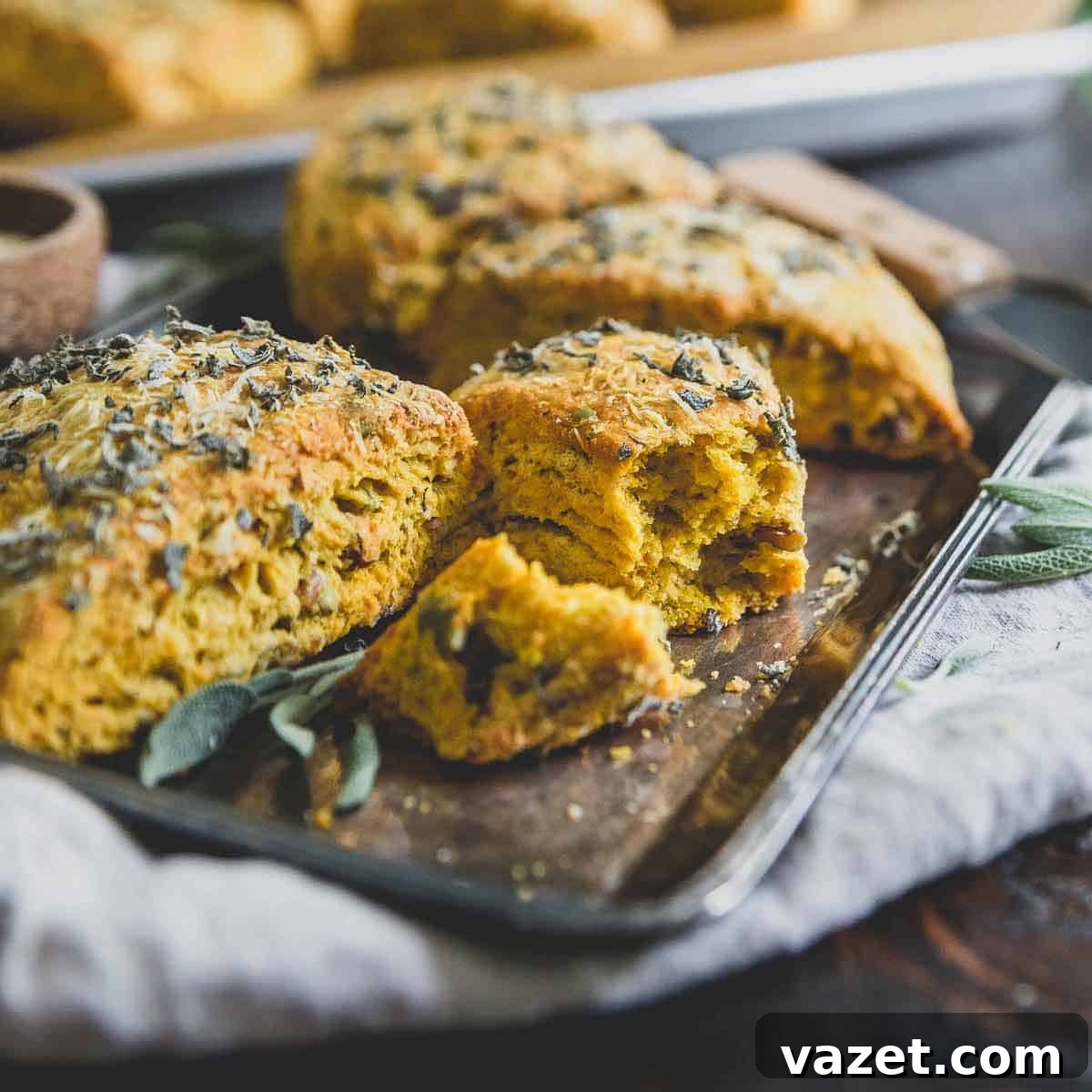 Buttery, flaky and filled with savory flavors, these pumpkin scones are perfect for the holidays. Buttery, flaky and filled with savory flavors, these pumpkin scones are perfect for the holidays.
