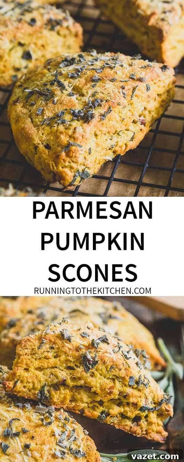 Small batch, easy to make parmesan pumpkin scones are filled with fresh herbs, nuts and seeds. Small batch, easy to make parmesan pumpkin scones are filled with fresh herbs, nuts and seeds.