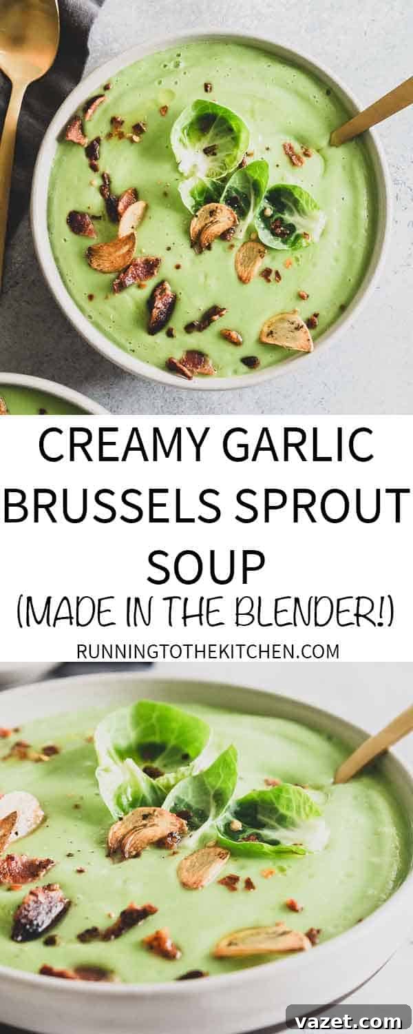 This easy Brussels sprout soup is creamy and decadent while being dairy free! Make it in minutes in your blender!
