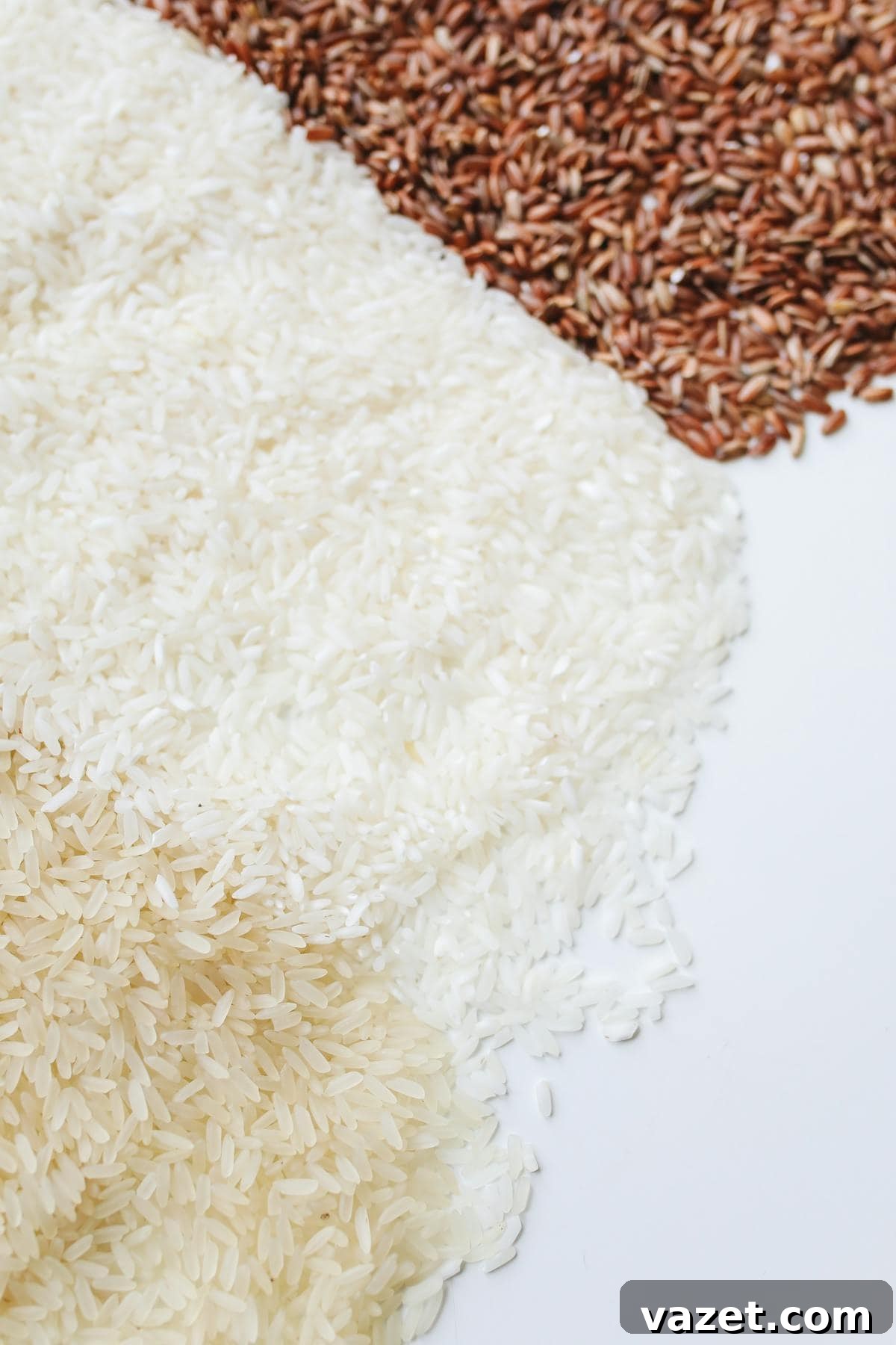 A Rice Odyssey Discovering Grains Beyond Basmati 4 Two varieties of uncooked rice, white and brown, arranged in separate heaps on a white surface.