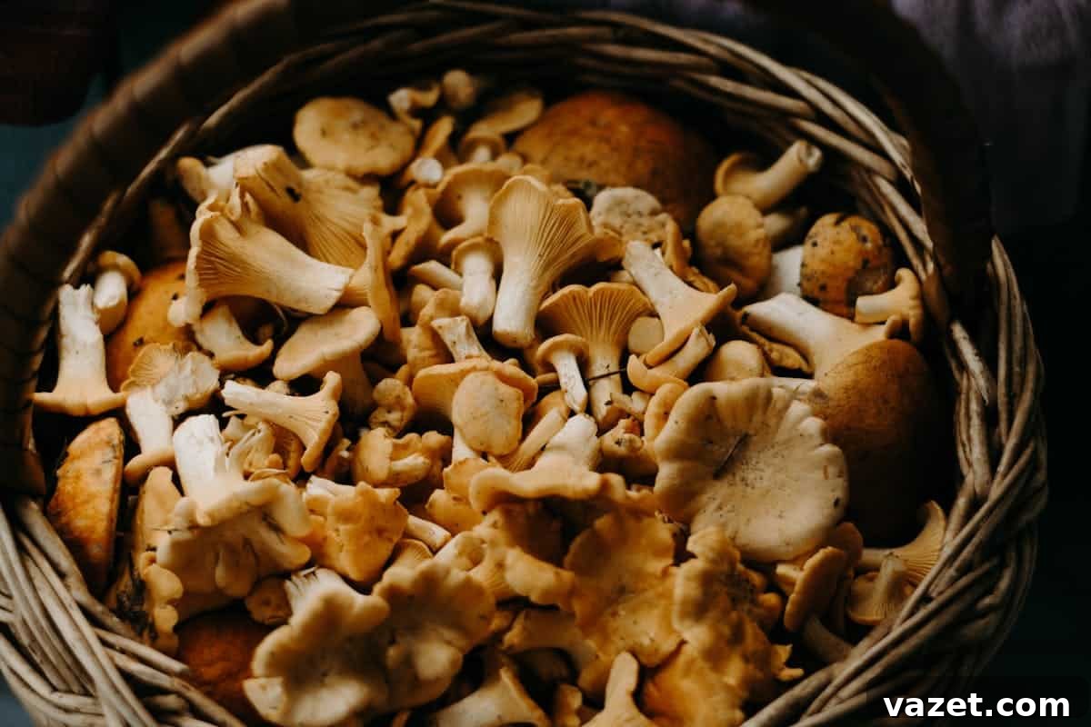 Optimal Mushroom Preservation 4 Assorted mushrooms in a basket