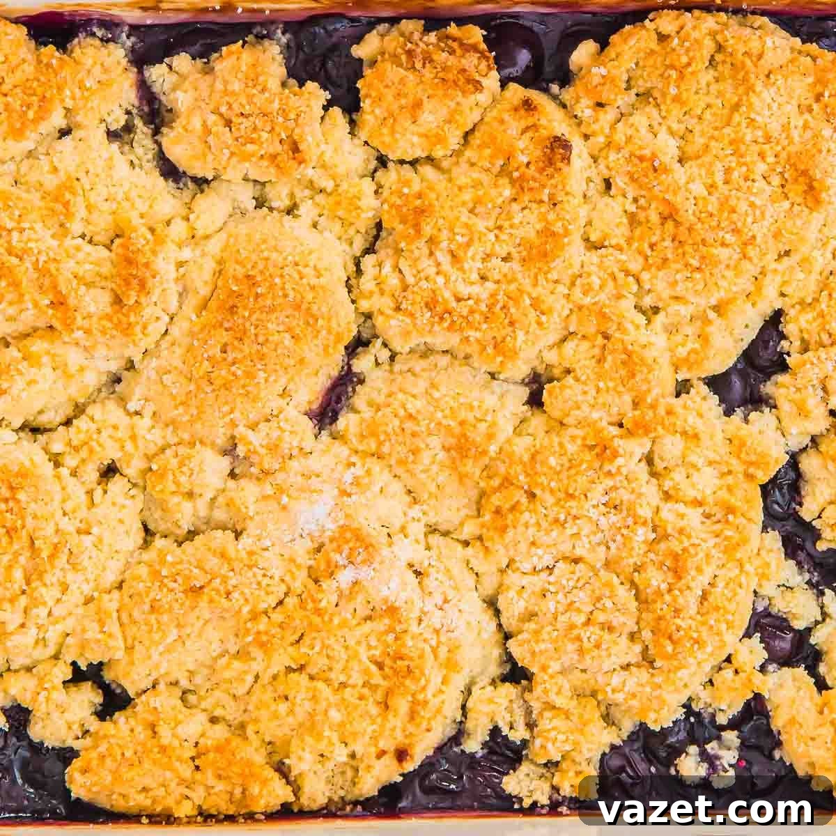 Classic Blueberry Cobbler Recipe with Cinnamon Crumble 11 A close-up of a freshly baked blueberry cobbler in a rectangular dish, topped with a golden, crumbly biscuit topping and bubbling blueberry filling visible underneath.